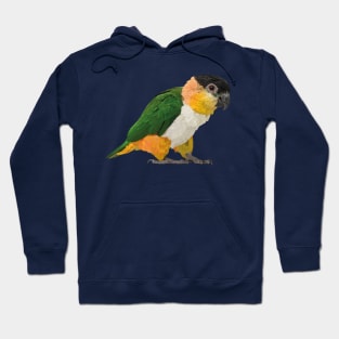 black headed caique Hoodie